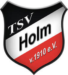 User Dachverein – TSV Holm
