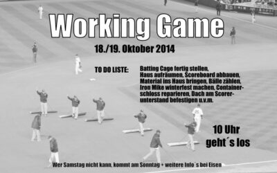 Working Game 2014