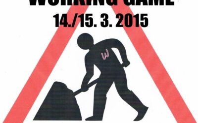 Working Game 2015